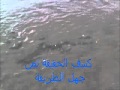 كشف الحقيقة لمن جهل الطريقة ج2 Flv 