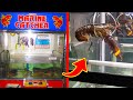 10 Food Vending Machines You Won't Believe Exist! (Part 2)