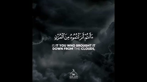 القارئ احمد النفيس سورة (الواقعة) الاية 68-70