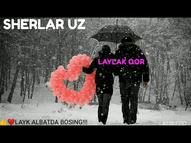 #SHERLAR 💔❤💚Hotiralarni eslab yog'ib berdi laylak qor❄❤💜💖