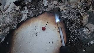 Cherry Bomb Firecracker Fireworks