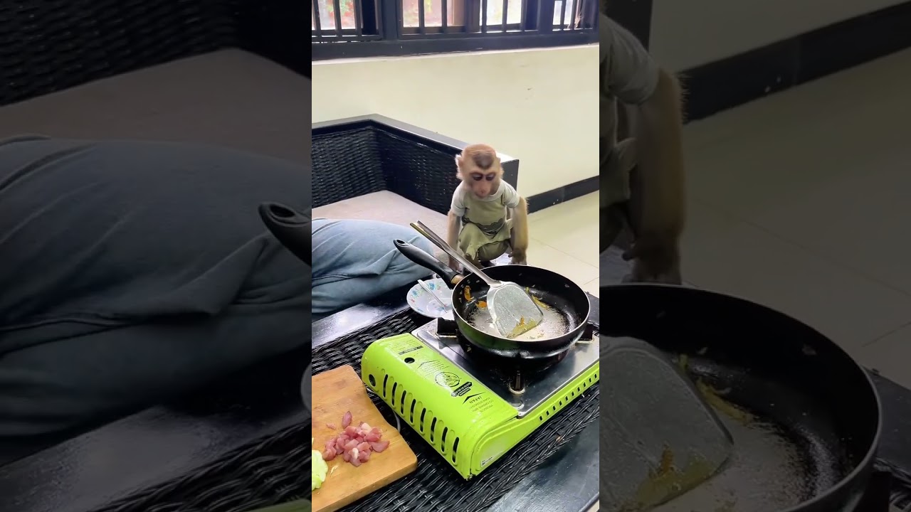 This monkey's eating style will make you laugh instantly
