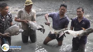 Tát Ao Cá Hơn 10 Năm Thành Quả Bất Ngờ | Hội Ngộ Miền Tây - Tập 730