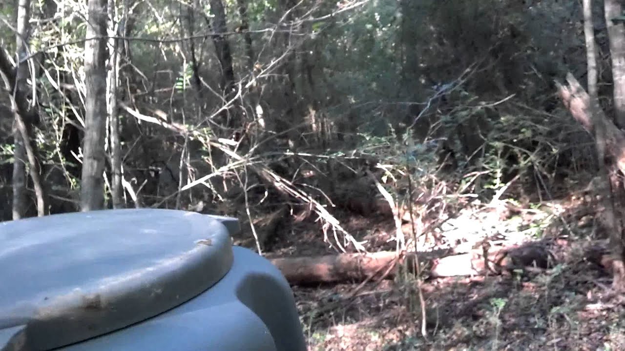 Moultrie Feeder Review Youtube