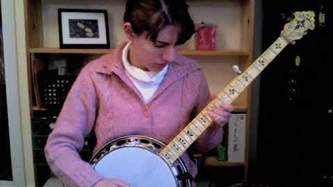 Stuck On A Bus - Excerpt from the Custom Banjo Lesson from The Murphy Method