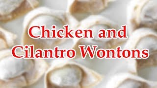 How To Make  Chicken and Cilantro Wontons Recipes Videos #048