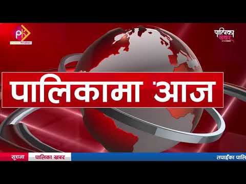 पालिकामा दिनभरः पालिकाहरूमा बिउ दिने सिजन, अतिविपन्नसँग १० हजारको निवेदन (भिडियो खबर) 