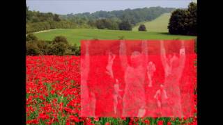 In Flanders Field