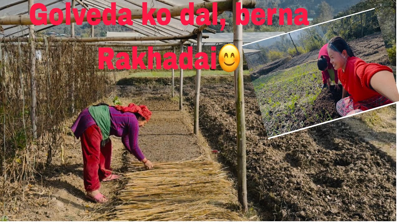 Vlog eps-23aaja ko din …