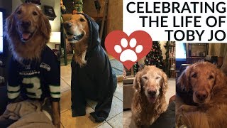 Celebrating The Life Of Toby Jo ️