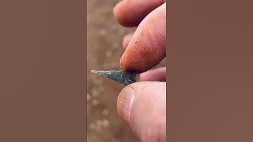 “North Georgia Bird Point”