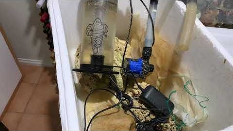 Setting up a bio pellet reactor