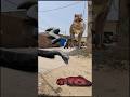Big Anaconda vs dinosaur T-Rex fight scene#dinosaur#anaconda#jurassicworld#shorts#youtubeshorts