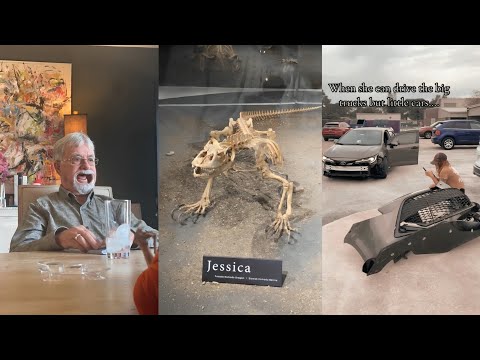 Funniest Tiktok that if ylyl
