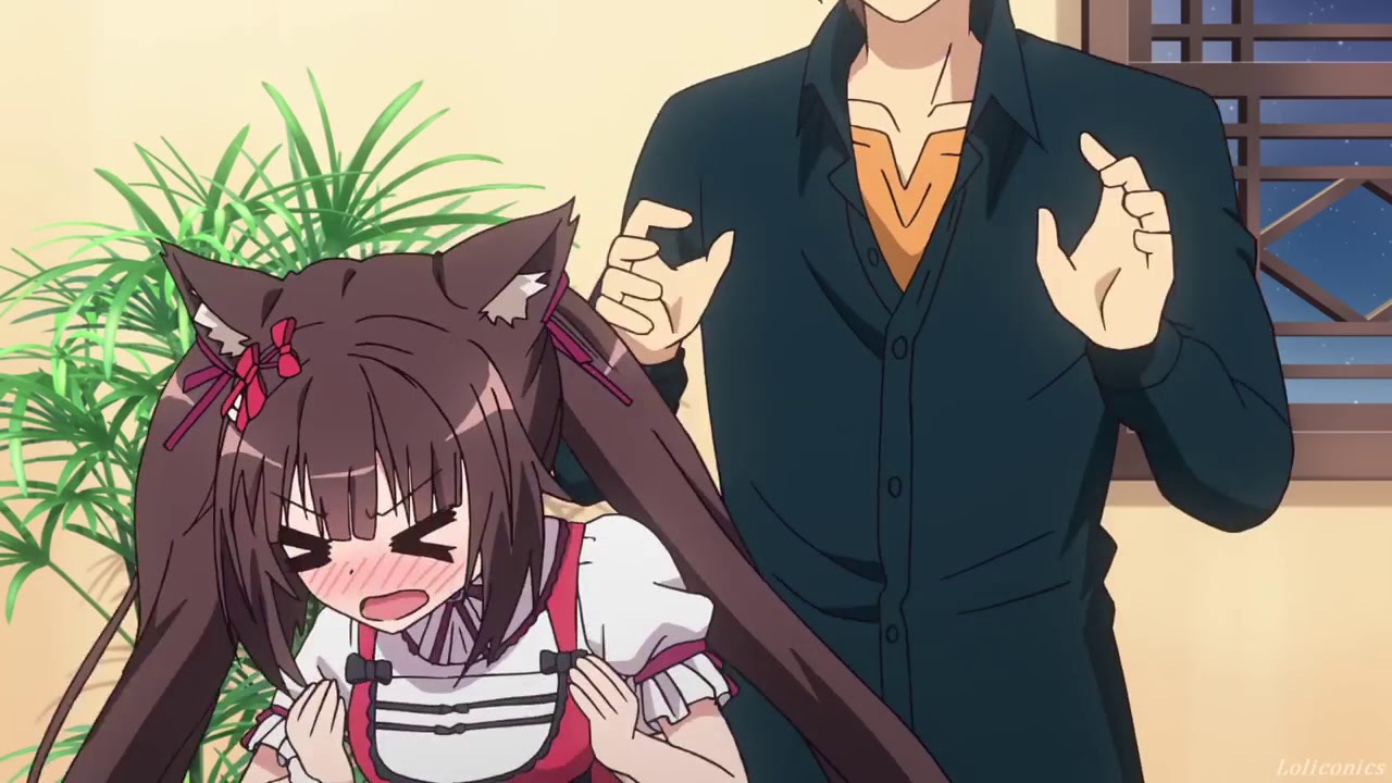 Genetically Engineered Catgirls for Domestic Ownership 