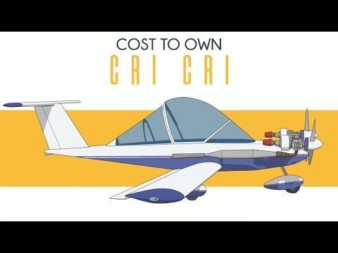 Cri Cri - The Smallest And Cheapest Twin Ever