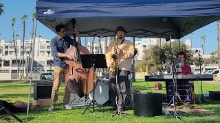 Stingray Written By David Gotler