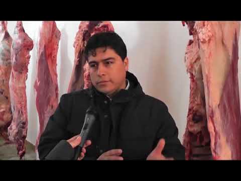 rio gallegos weather CLAUDIO VIDAL- RECORRIDA EN MATADERO RURAL EN PUERTO SANTA CRUZ