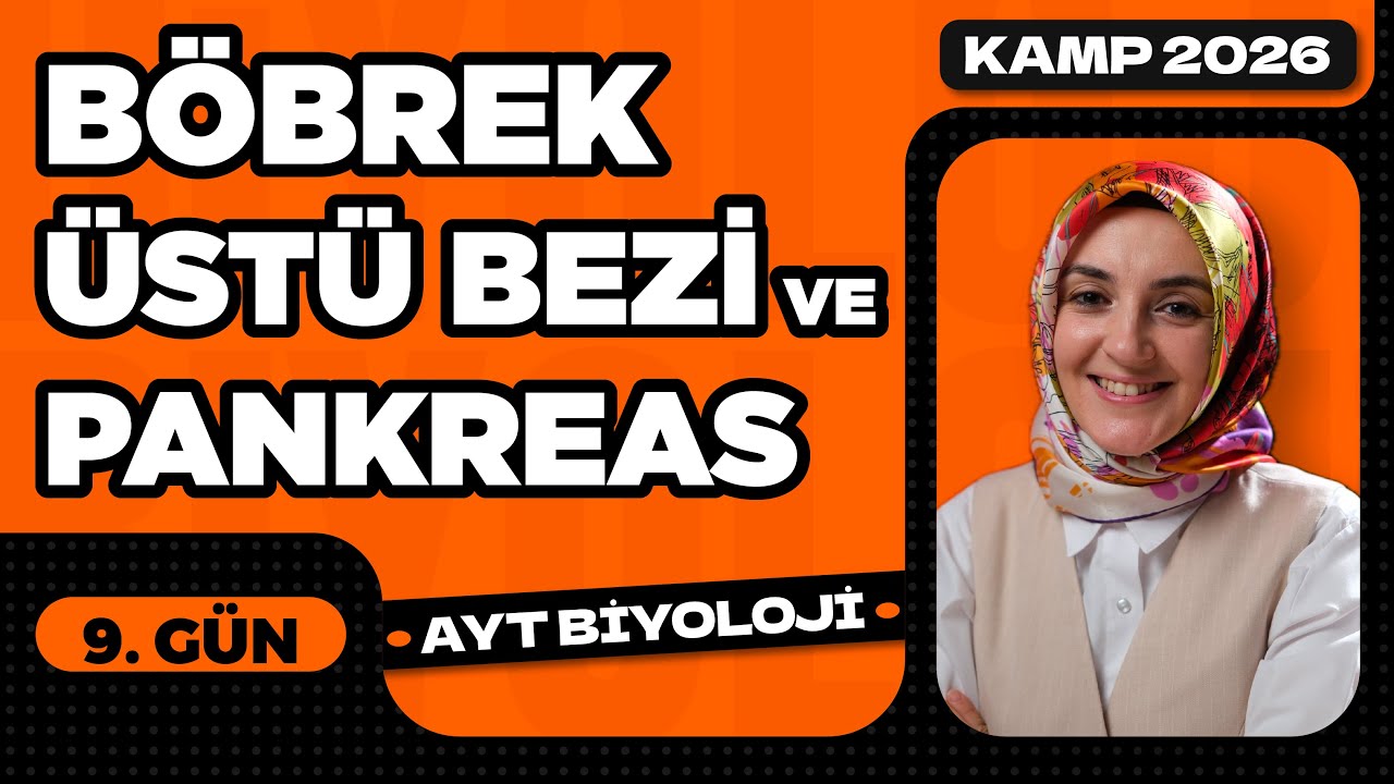 9) Böbrek Üstü Bezi - Pankreas | 11. Sınıf Biyoloji | 2026 AYT Biyoloji Kampı 9. Video