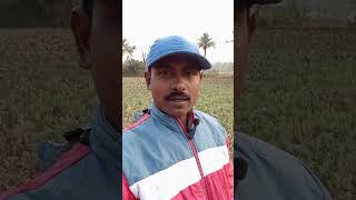 sg family block #punitandseema #harekfriendkaminahotahai