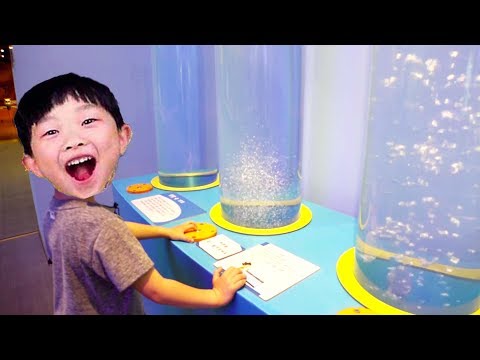 예준이와 어린이박물관 직업체험