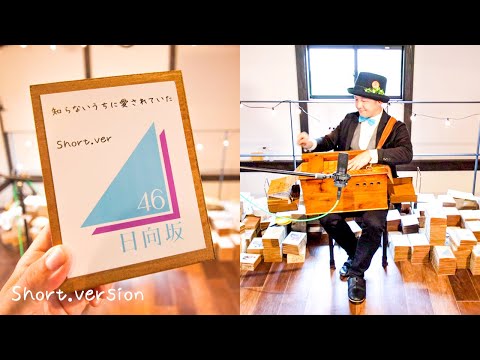 【「知らないうちに愛されていた」日向坂46】手回しオルガン/StreetOrgan（Reed Type）