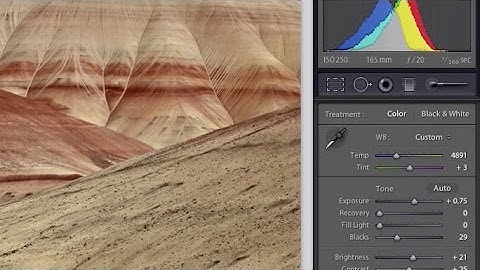 Relative vs. Absolute Adjustments to Images
