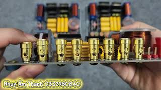 In-Depth Teardown: AD310 3-Way Crossover - Only $39.50/Pair In-Depth Teardown: AD310 3-Way Crossover - Only $39.50/Pair