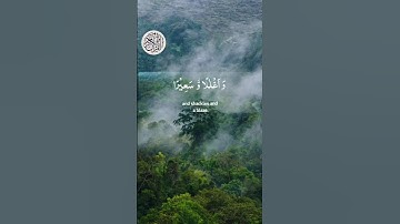 بسم الله الرحمن الرحيم قران كريم الدال على الخير كفاعله اكتب شيء تؤجر عليه #قرآن #المصحف