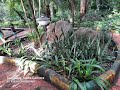 Bangalore Bugle Rock Park in Basavangudi