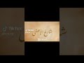 شارع الاعشى حلقه 25 