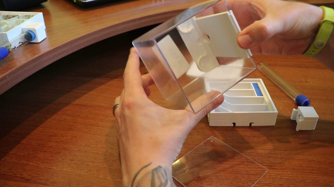 Вертикальный формикарий с АБС пластика - YouTube