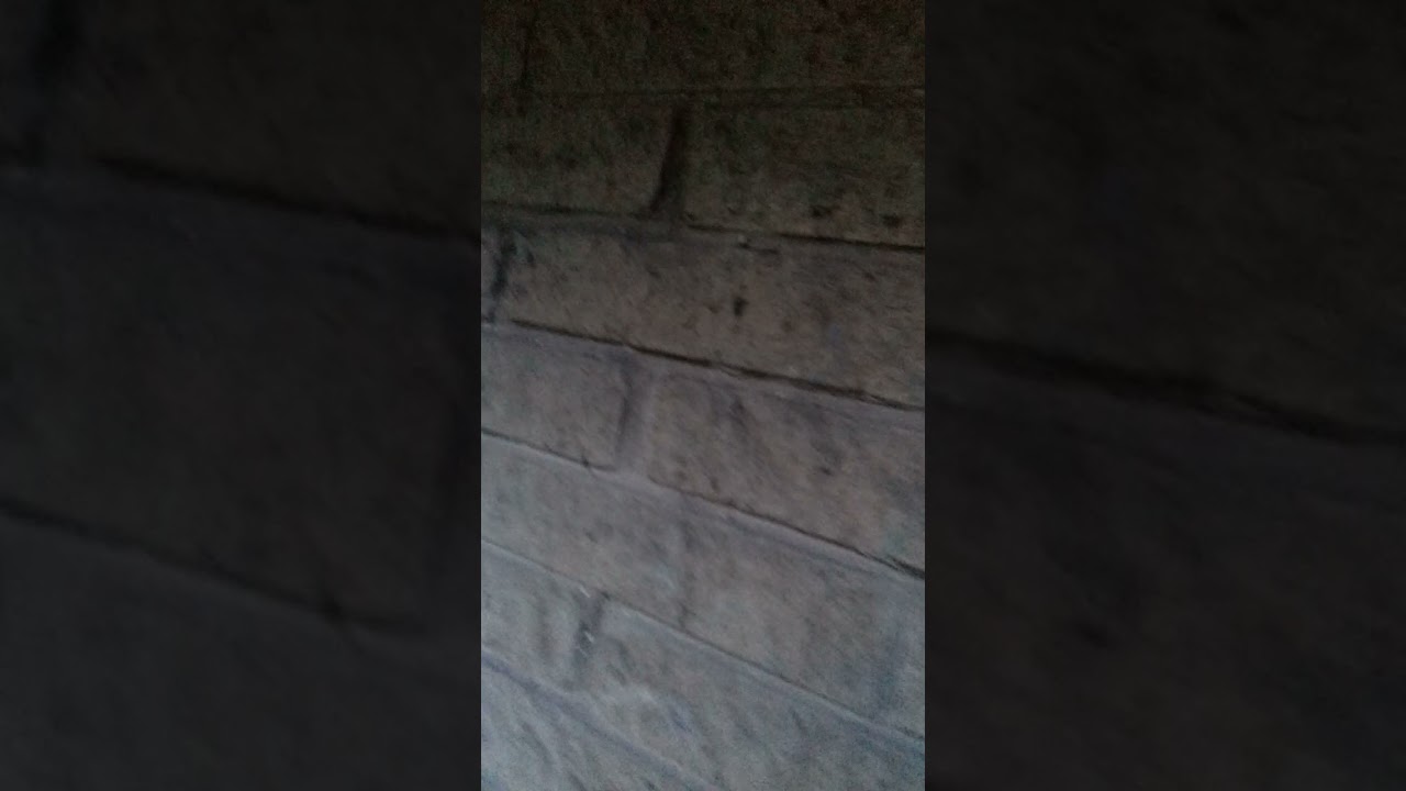 first graffiti sticker bombing video in Scarborough my holldsy