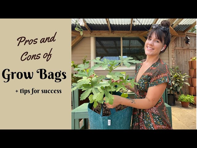 Grow Bag Gardening: Pros and Cons