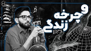 آیا هر انسان 9 بار زندگی می‌کند؟ | فلسفه چرخه‌های زندگی