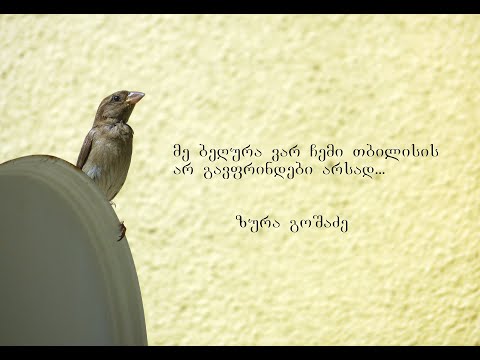 ,,პაემანი ვერაზე\" - ,,მე ბეღურა ვარც ჩემი თბილისის\" მიხეილ ზაქარიაშვილი - Mikhei Zakariashvili