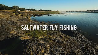 Saltwater Fly Fishing on the UK South Coast | Fly Fishing for Bass and Mullet
