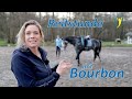Reitstunde mit Bourbon - Pferd und Reiter zusammen wachsen lassen | Falco & Bourbon Folge 29