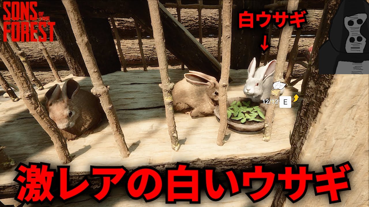 2-35 激レアの白いウサギ家族にした、ウサギの動物園完成【Sons Of The