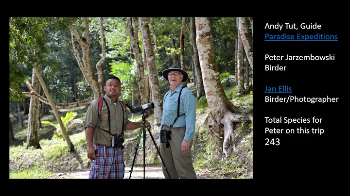 Belize Birding Trip w Paradise Expeditions 3/19 Up...