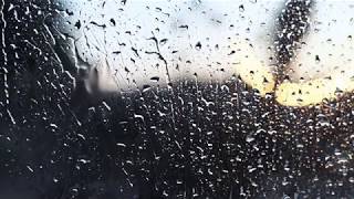 3 Houres:  Peaceful Piano & Soft Rain & Distant Thunder & Cat Purring - Relaxing Sleep & Study Music