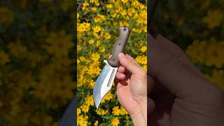 EDC KNIFE  2026 @wellregulated8725