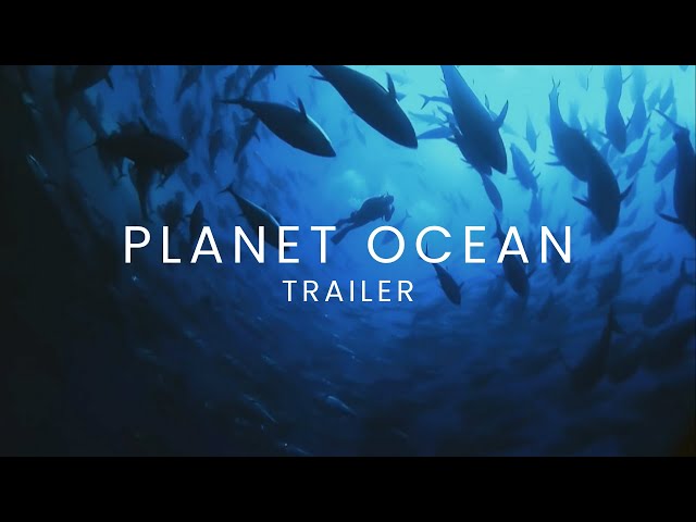 Лучшие документальные фильмы про океаны и моря