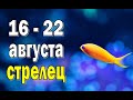 СТРЕЛЕЦ 🌍 СЧАСТЬЕ в ДОМЕ 🌍 неделя с 16 по 22 августа. Таро прогноз гороскоп гадание