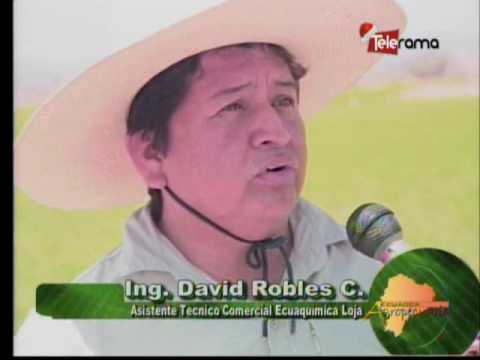 Ecuador Agropecuario 13-12-2016