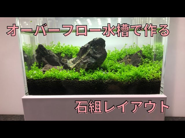オーバーフロー水槽・オブロンS-15で作る万天石の石組 - YouTube