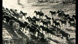 Trailer Untitled.avi