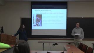 AMS Project Application Process and Components