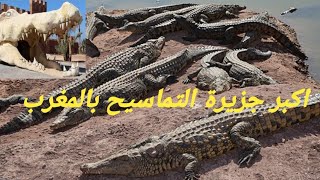 جزيرة التماسيح باكاديراو حديقة التماسيح  crocoparc agadir maroc