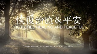 恢復治癒平安 Restored healing and peace等候神音樂 Soaking Music  #放鬆音樂 #睡眠音樂 #醫治音樂